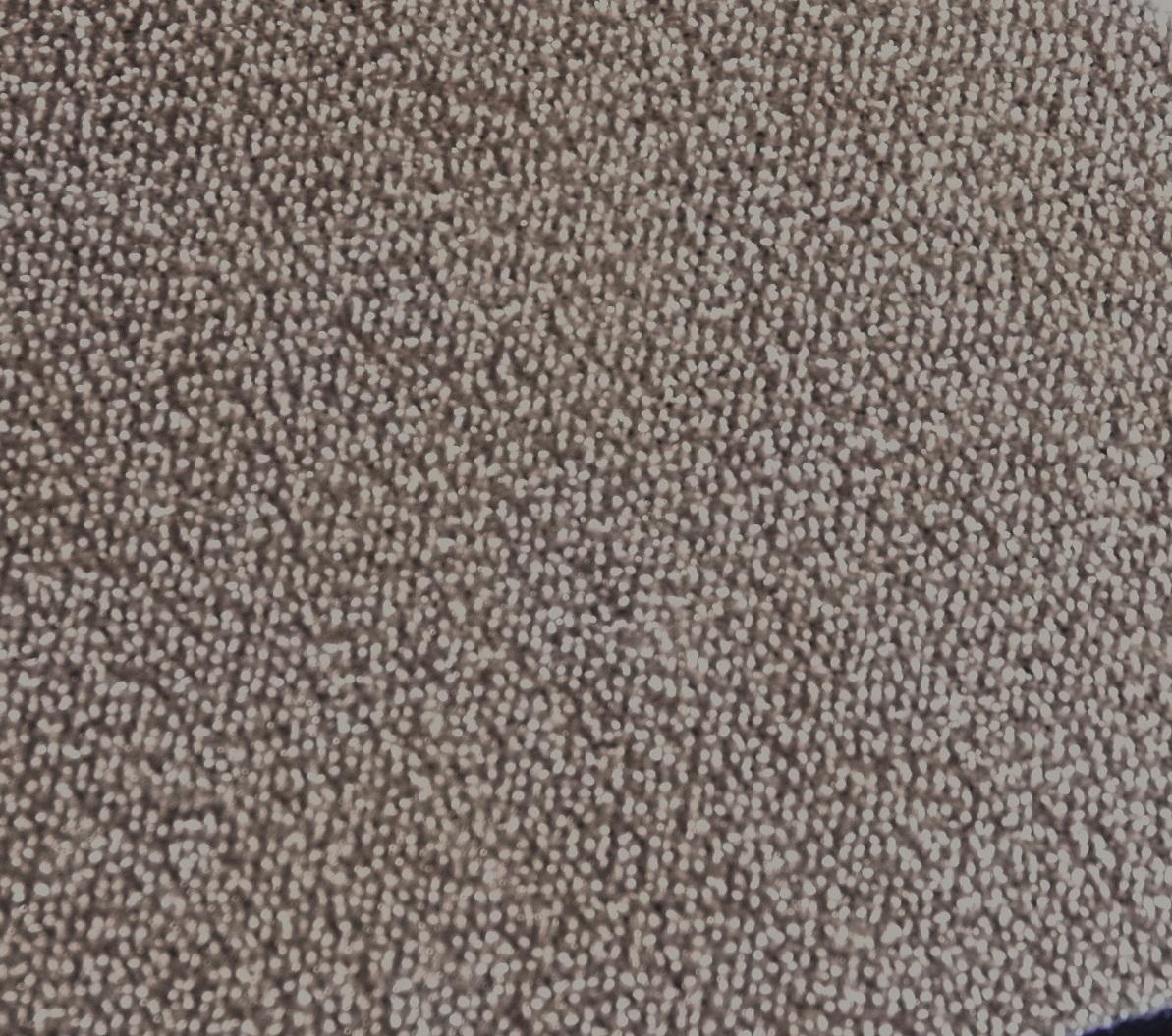 Neopren Platte yellow Double/Plush 6mm