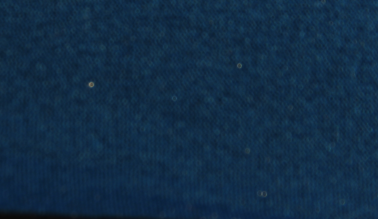 Neopren Platte marina blue/ black  2mm Neopren Platte marina blue/ black  2mm