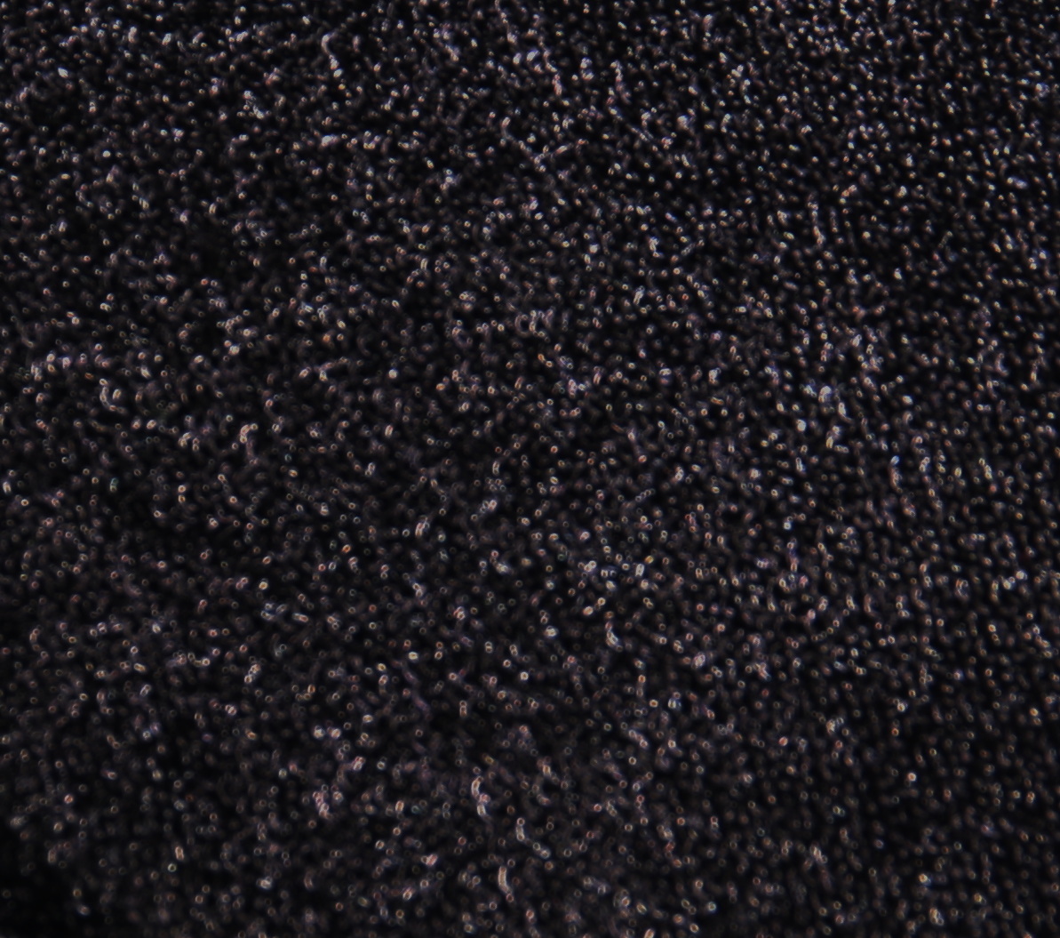 Neopren Platte  lemomyellow/blackplush 5